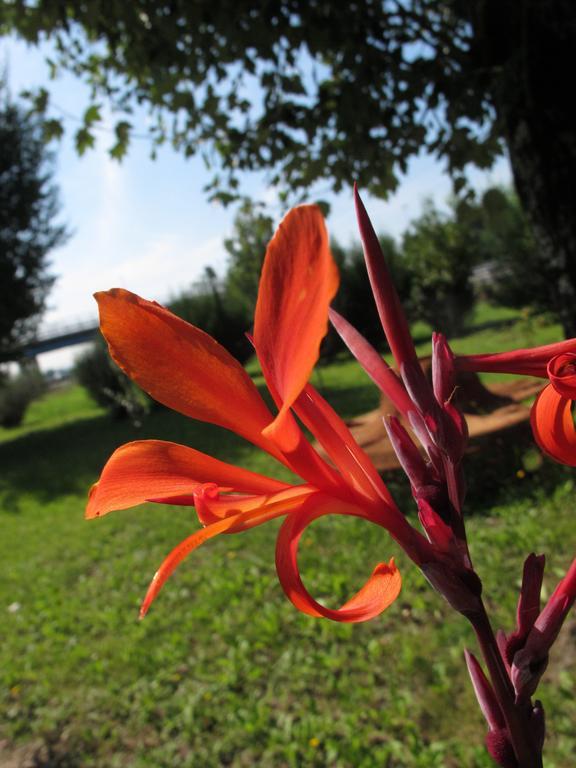 Villa El Shaddai Campi Bisenzio Εξωτερικό φωτογραφία